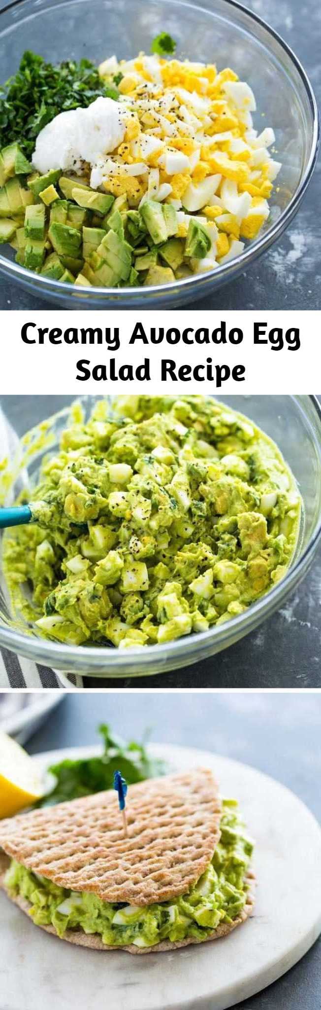 Creamy Avocado Egg Salad Recipe - Spice up the usual egg salad with the addition of avocado. Avocado makes a delicious and nutritious addition to egg salad and thanks to its naturally creamy texture, you can enjoy egg salad without the adding mayo!