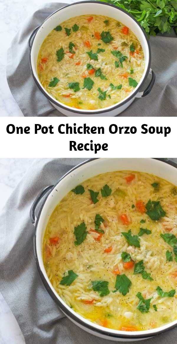 One Pot Chicken Orzo Soup Recipe - One Pot Chicken Orzo Soup is a hearty and delicious soup recipe made with wholesome vegetables, chicken, and lemon.  This is comfort food at its best.