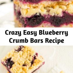 These blueberry crumb bars are crazy easy to make and could, dare I say, rival your favorite blueberry pie recipe. You can pick them up and eat them on the go, which makes them a perfect dessert for picnics and summer parties! #blueberrycrumbbars #crumbbars #blueberry #summerdessert #dessert