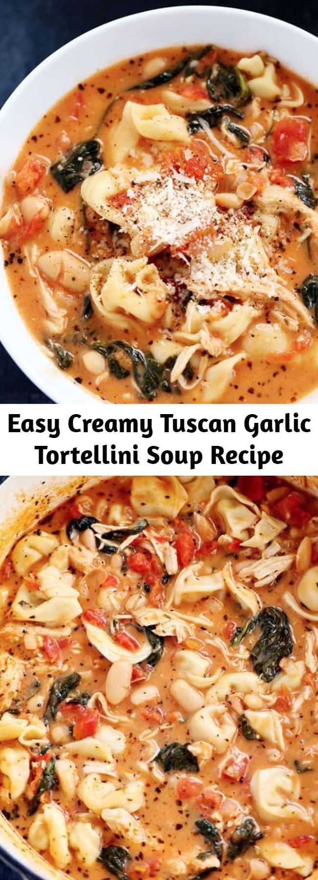 Easy Creamy Tuscan Garlic Tortellini Soup Recipe - Creamy Tuscan Garlic Tortellini Soup is so easy to make and one of the best soups that you will make! Tortellini, diced tomatoes spinach and white beans are hidden is the most creamy and delicious soup that your family will love!
