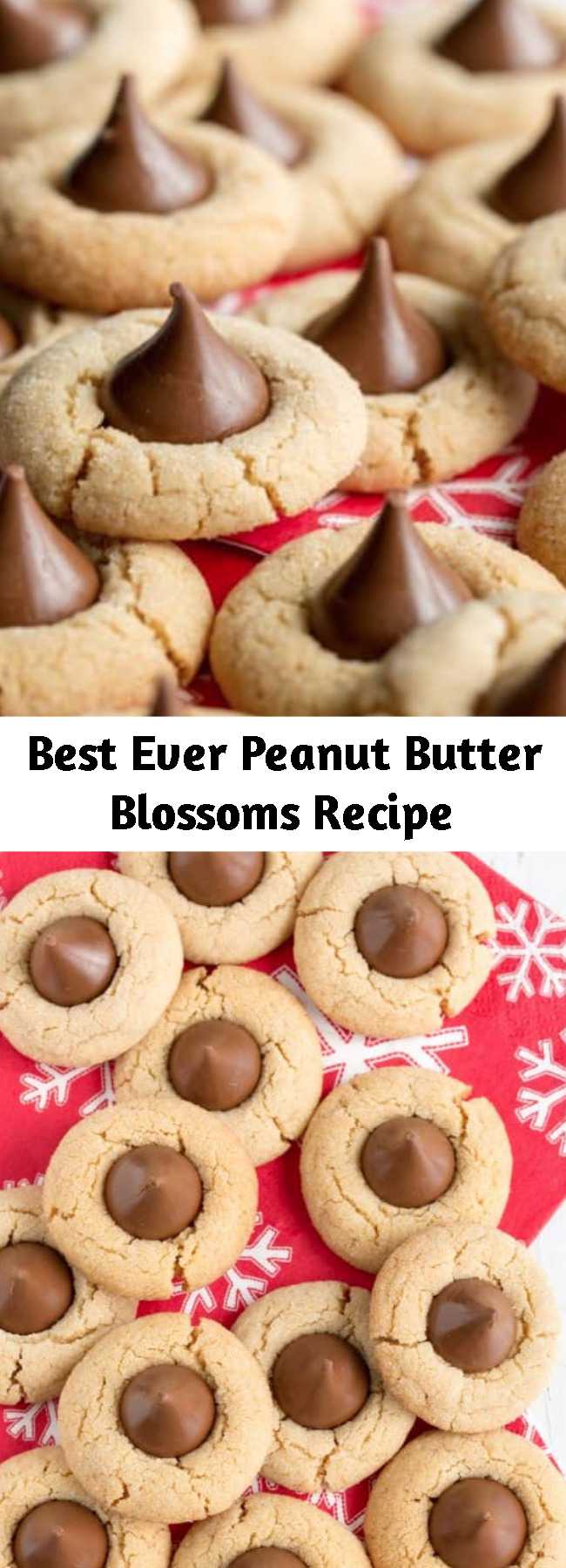 Best Ever Peanut Butter Blossoms Recipe - A crisp chewy peanut butter cookie topped with a milk chocolate kiss – a family favorite for generations! These Peanut Butter Blossom are absolutely scrumptious, and easy to make too.  What’s not to love about peanut butter and chocolate?! #peanutbutterblossoms #peanutbutterkisses #kissescookies #cookies #holidaycookies #peanutbutterchocolatekissescookies