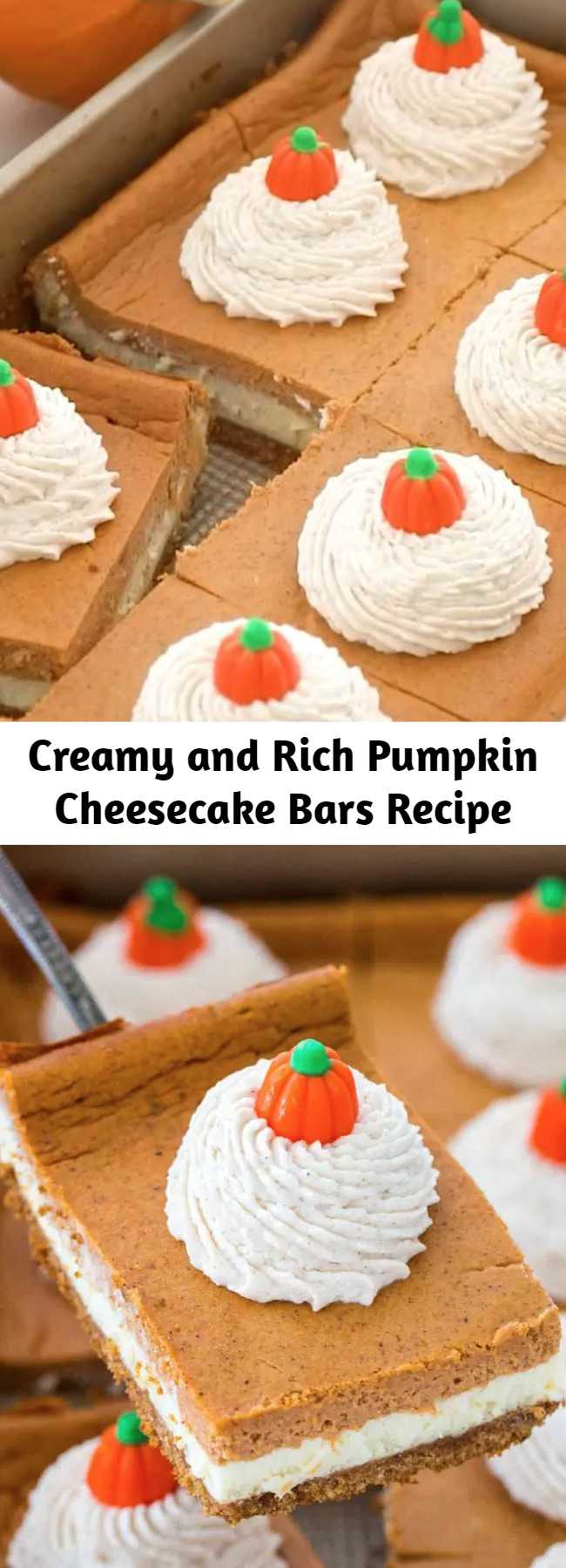 Creamy and Rich Pumpkin Cheesecake Bars Recipe - Pumpkin Cheesecake Bars are luxuriously creamy and rich, with lots of pumpkin flavor. Topped with a hefty amount of homemade cinnamon whipped cream.
