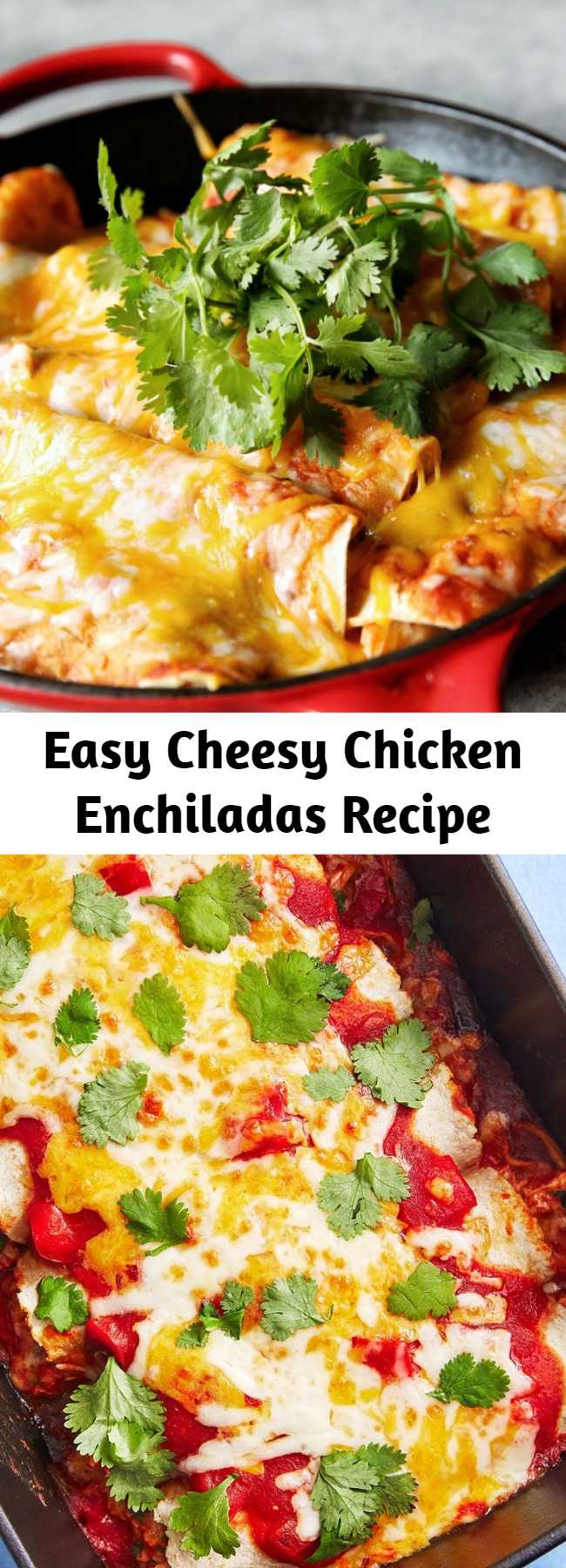Easy Cheesy Chicken Enchiladas Recipe - These enchiladas fall somewhere in between; they're definitely Tex-Mex at their core, but we went with corn tortillas in place of flour. (Go ahead and use flour if that's your preference though!) They may not be authentic by, well, anyone's standards, but they are quick, easy, filling, and delicious.